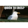 TÚ BIZCOCHITO 6