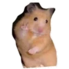 An