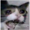 Love Cats 18