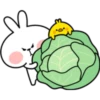 Rabbit 4 9