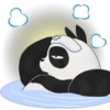 Ranma 10