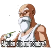 Dragón Ball 13