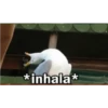 TÚ BIZCOCHITO 8