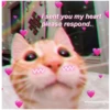 I sent you my heart
please respond.
wholesomekitty