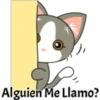 Alguien Me Llamo?