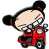 Pucca 17