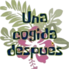 bob letras 16