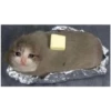 Sad Cats 18