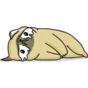 mochi 10