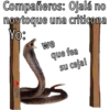 Compañeros: Ojalá no
nos toque una criticona
Yo:
Madrid
we
que fea
su ceja!