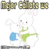 Rabbits 18