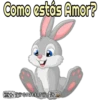 Rabbits 19