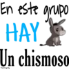 EN ESTE GRUPO 18