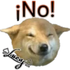 Perros Perrúnos 16