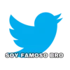 Twitter e Ig: @soycsnt • 18