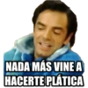 NADA MÁS VINE A
HACERTE PLÁTICA