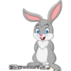 Rabbits 21