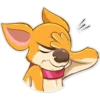 Chihuahua Chica 18