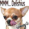 Perros Perrúnos 17