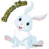 Buenos Días YVERITØY