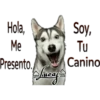 Perros Perrúnos 18