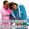 Aver cisticerdo
de agua puerca