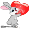 Rabbits 23