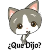 ¿Que Dijo?