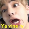 Ya vine