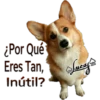 Perros Perrúnos 19
