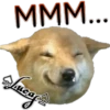 Perros Perrúnos 20
