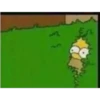 Simpson 21