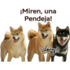 Perros Perrúnos 21