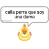 calla perra que soy
una dama
@Yosoyteba
B
