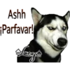 Perros Perrúnos 22