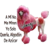 Perros Perrúnos 23