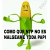 BOLO
OG
COMO QUE NTP NO ES
NALGEAME TODA PAPI