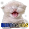 BuenoS DIAS
Ver Beies