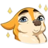Chihuahua Chica 20