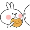 Rabbit 4 16