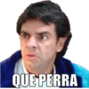 QUE PERRA