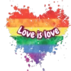 lgbt 13