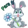 Para ti YVERITØY