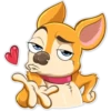 Chihuahua Chica 21