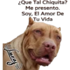 Perros Perrúnos 25