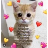 i love you
im sorry to
interrupt ur
scrolling but
Ojust want you
tell that you
deserve happiness
no matter what