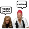 culera
Pinche
jodida