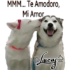 Perros Perrúnos 26