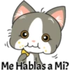 il
Me Hablas a Mi?