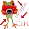 Monkey & frogs 22